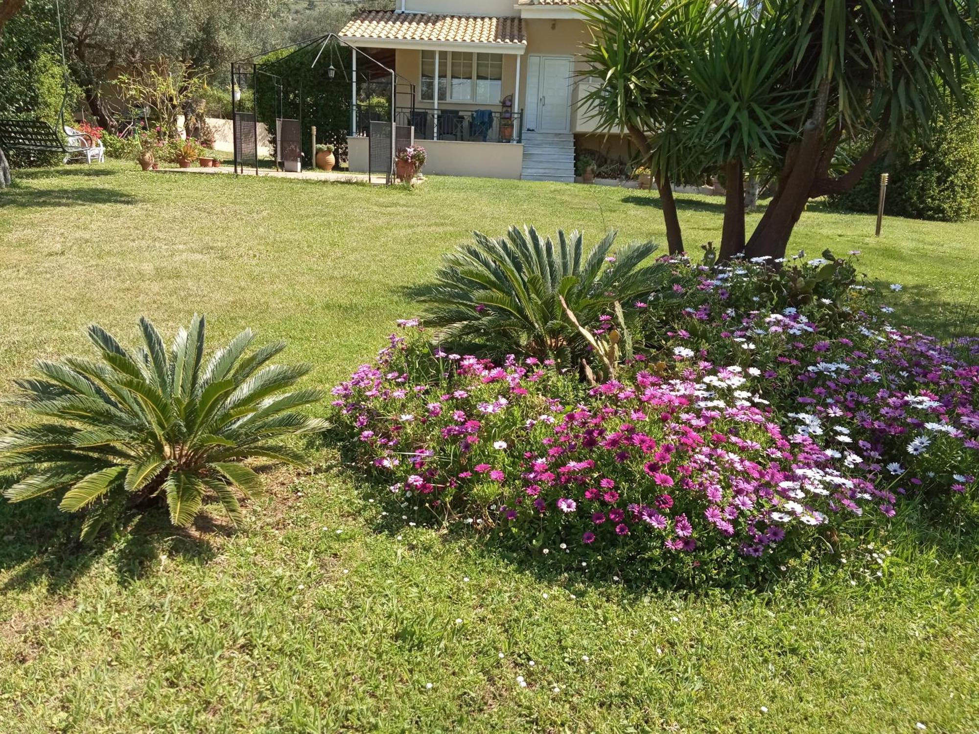 Sunny Garden Villa Платария Номер фото